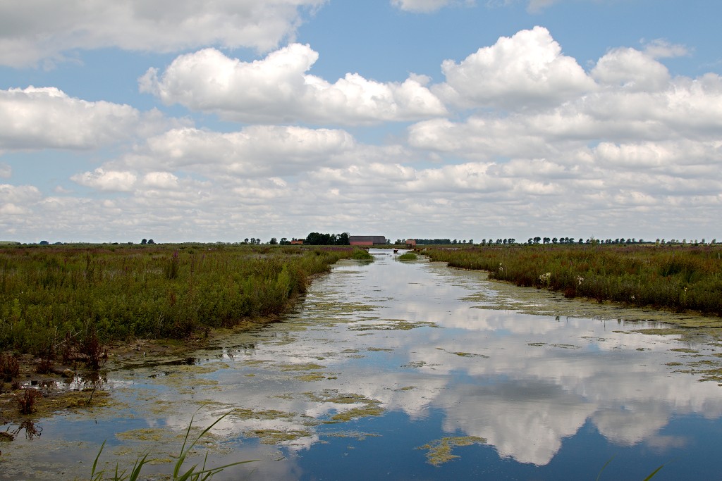tiengemeten natuur natuurgebied natuurmonumenten hdr schotse hooglanders rien poortvliet museum eiland polder platteland